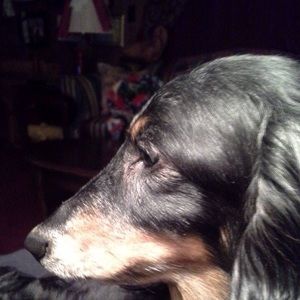 Meet your Posher, Monica